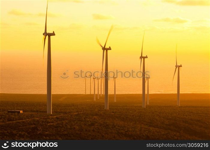 Windmills at wind farm in Coquimbo Region, Chile