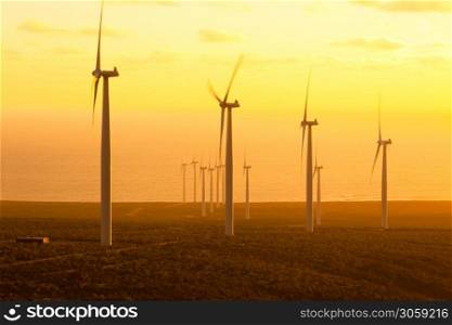 Windmills at wind farm in Coquimbo Region, Chile