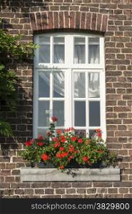 windo in old wall with red french geranium flowers in planter