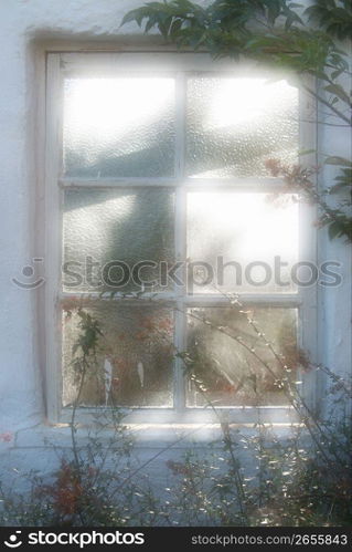 Window