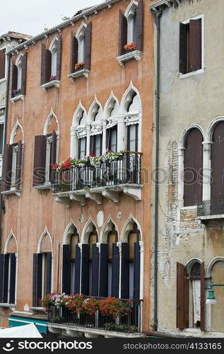 Window boxes hanging on the railings of windows, Venice, Italy