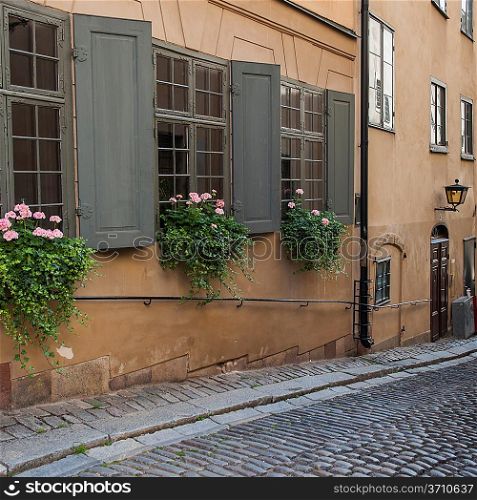 Window boxes on the windows of building, Gamla Stan, Stockholm, Sweden