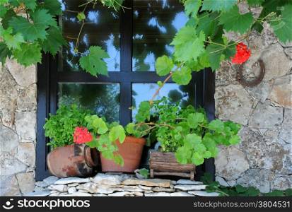 Window decorated with plants in the pots and vine in Bulgaria.