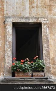 Window exterior with flowers in Rome, Italy.