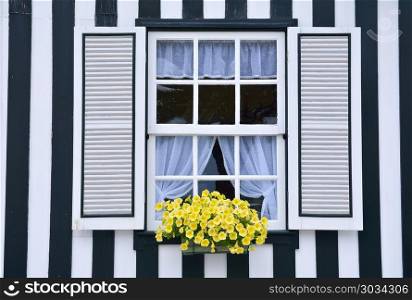 Window in an old house decorated with flower.. Beautiful yellow petunias in the open close window.