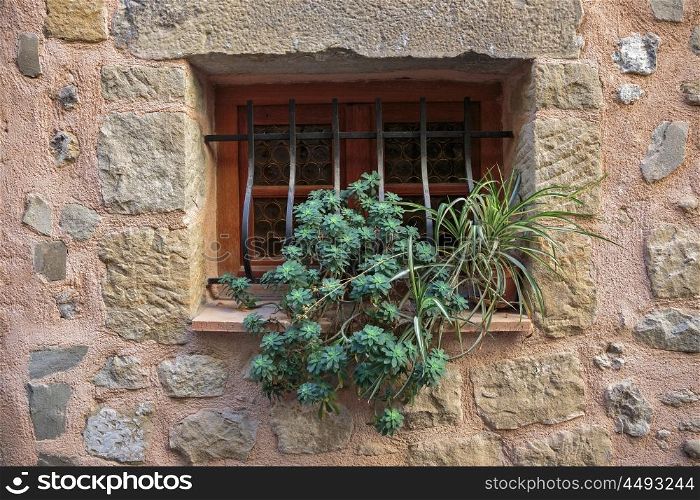 Window in an old house with flower