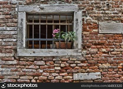 Window in an old house with flower