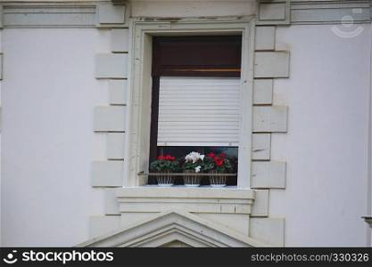 window in the white house