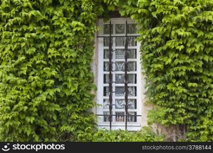 Window in Yevre-le-chatel, Loiret, Centre, France