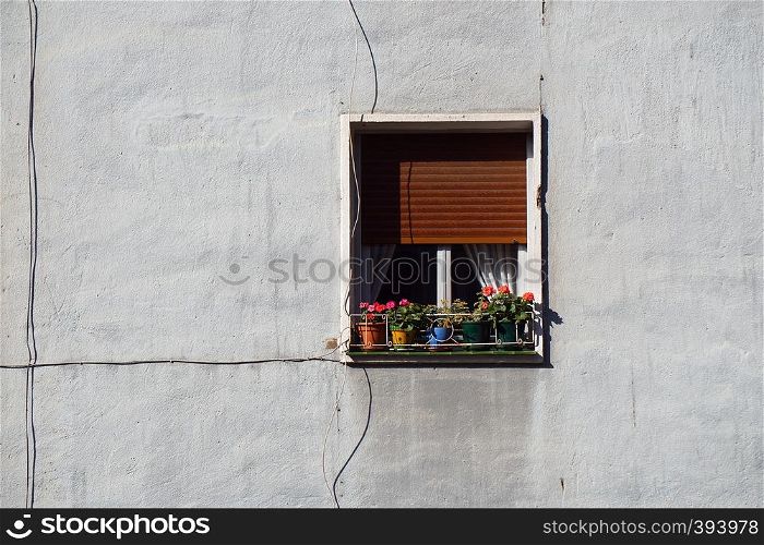 window on the white building