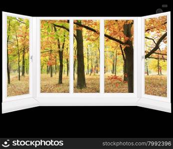 window overlooking the autumn park. window overlooking the autumn park with yellow trees