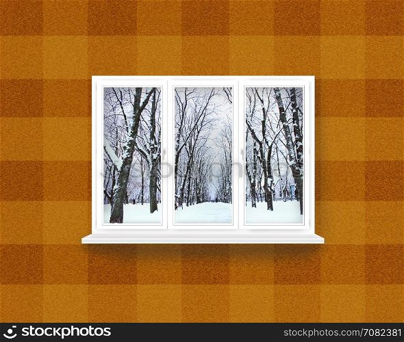 window overlooking the winter park. window overlooking the winter park. Winter view from window