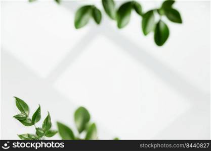 Window shadow on white wall and green leaves. Mockups, posters, stationary, wall art, design presentation. Minimal sunny day concept, Creative copyspace