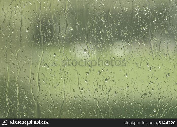 Window to a garden with rain drops in green color