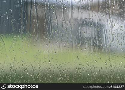 Window to a garden with raindrops on a rainy day