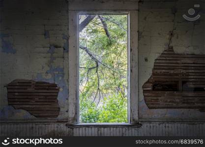 window view from an old abandoned schoolhouse in rural Nebraska