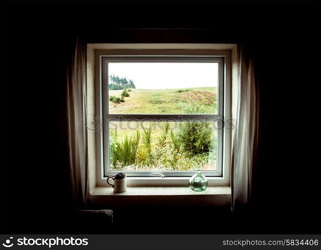 Window with a view to the nature