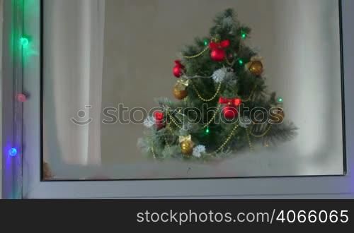 Window with Christmas Tree