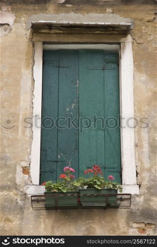 Window with closed shutters and flowerbox in Venice, Italy.