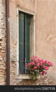 Window with closed shutters and geranium flowers in Venice, Italy.