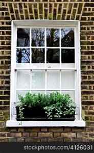 Window with plant box in brick wall London