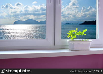 window with view of marine waves. window with beautiful view of evening sea and mountains. Plant in the pot on the window-sill