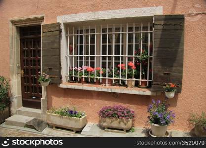Window with wooden shutters and flowers and plants