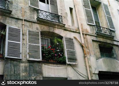 Windowbox flowers in Paris France