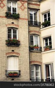 Windows of old apartment buildings in Paris France