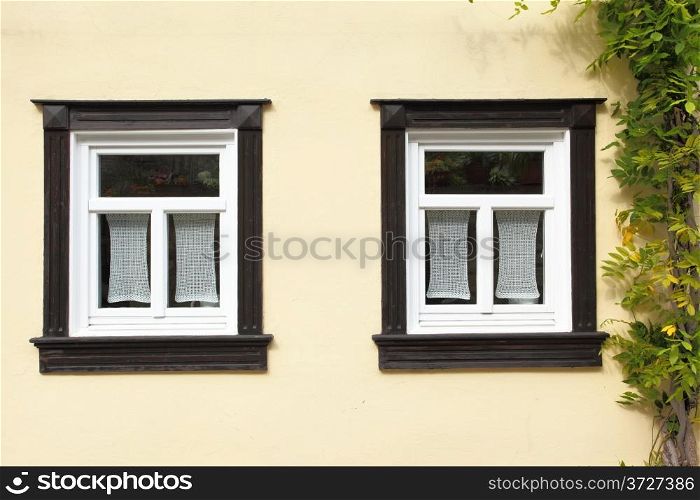 Windows of old house with ivy, Germany