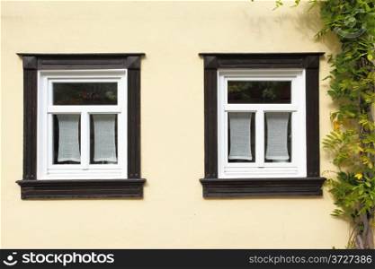 Windows of old house with ivy, Germany