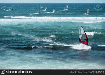 Windsurfing boards in the sea, Hookipa Beach, Maui, Hawaii Islands, USA
