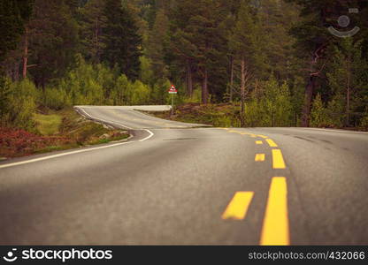 windy norwegian road through the pine forest