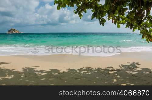 Windy storm sea beach with sun and green tree