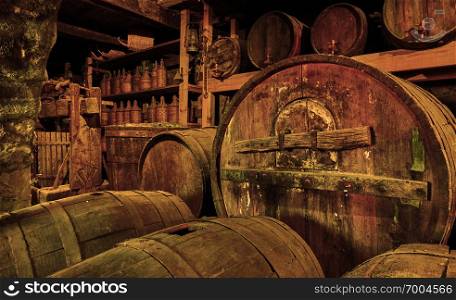 Wine barrels and casks in old cellar