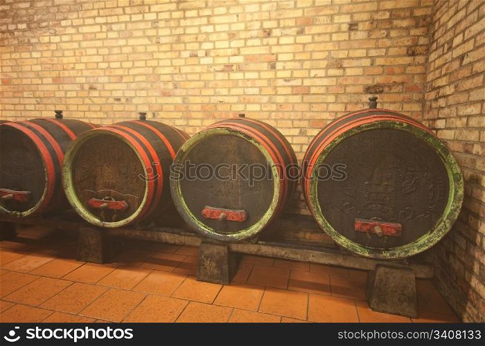 wine barrels in old wine cave