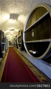 wine barrels in the cellars of the old