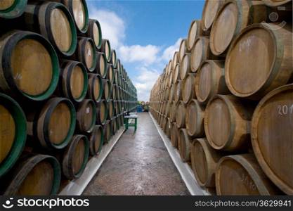wine barrels in the open air