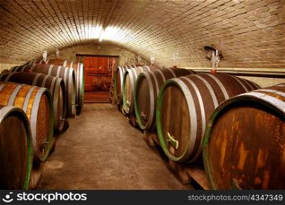 wine barrels in wine cellar of a vineyard. storage of wine.