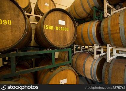 Wine barrels in winery