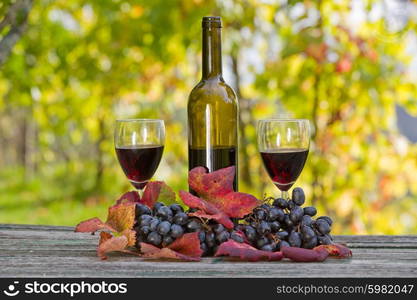 wine bottle and grapes on wooden table outdoor