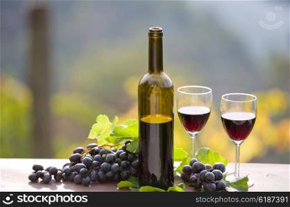 wine bottle and grapes on wooden table outdoor