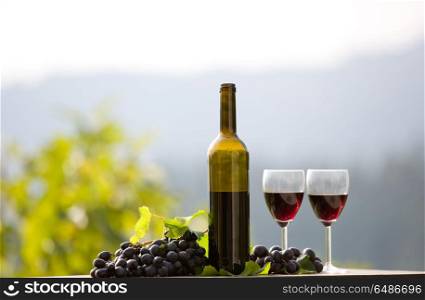wine bottle and grapes on wooden table outdoor. Red wine