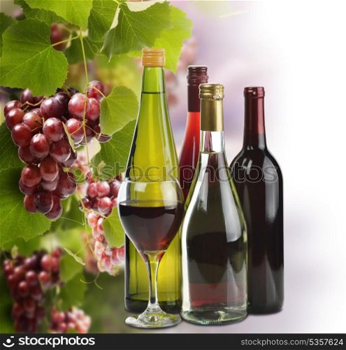 Wine Bottles Collection And Grapes