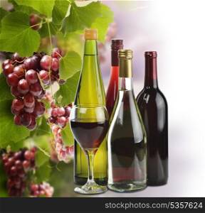 Wine Bottles Collection And Grapes