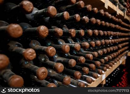 Wine cellar with bottles of wine on shelves.. Wine cellar with bottles of wine on shelves