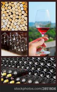 Wine collage. Beautiful set of wine images