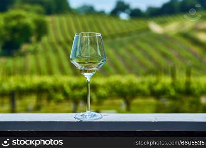 Wine tasting in California. Glass of white wine and vineyards. 