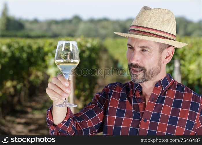 winegrower tasting wine in vineyard