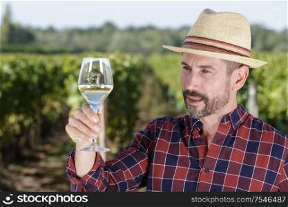 winegrower tasting wine in vineyard